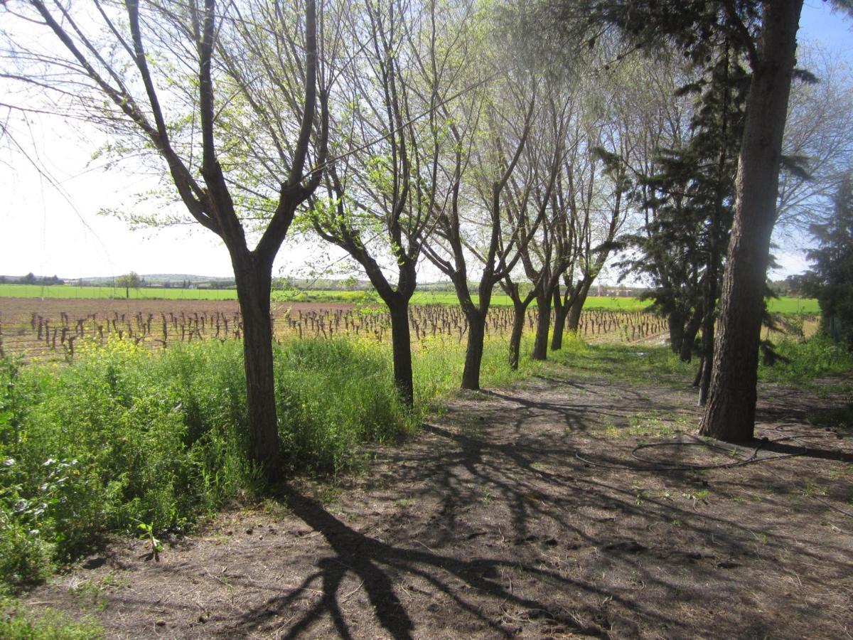 Casa Finca Rural La Huerta Almagro Exterior photo